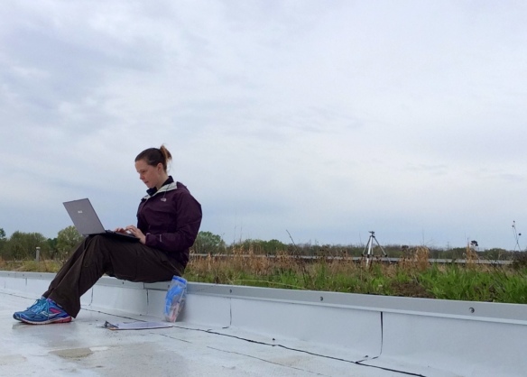 To record all the temperature data, I bring a computer up to the roofs. And then I cross my fingers that it doesn't rain.