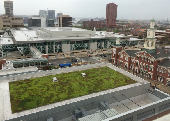 The hotel at the Baltimore Convention Center had a green roof. A great inspiration view as I prepared to give a presentation about my green roof research at the ESA conference. 