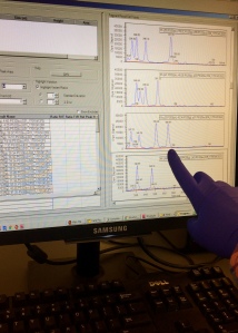 It worked! I look at the height of some blue peaks on the computer screen that help me determine the genetic makeup of all my plant samples. It feels so good when all the machines work and I actually get some data. 